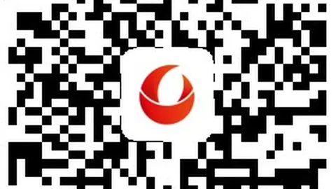 泰山康复师吉尔万加盟新俱乐部betvictor中文App：共创辉煌，启航新征程终极指南